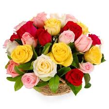 Two dozen assorted spring roses arranged in a basket