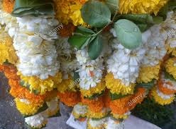 Wedding ceremony ritual traditional jaimala A pair of Marigold garlands