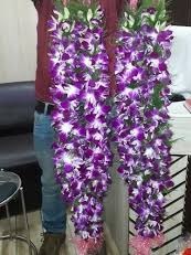 A pair of orchid garlands