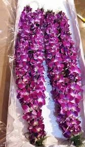 A pair of orchid garlands