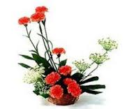 12 carnations arrangement