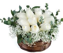 An Arrangement of 15 white roses