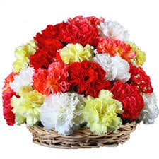 12 carnations arrangement