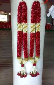 Wedding ceremony ritual traditional jaimala with fresh red roses for bride and groom