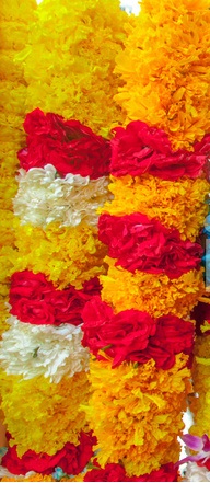 Wedding ceremony ritual traditional jaimala A pair of Marigold garlands