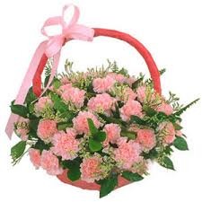 20 pink carnations arrangement