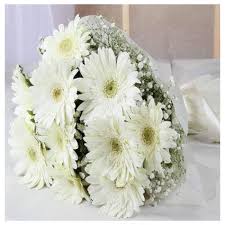 A bouquet of 24 white gerbera flowers