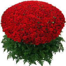 200 red roses basket